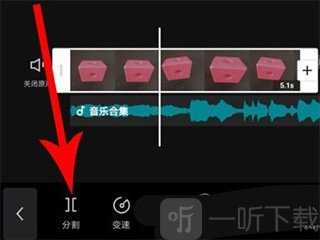 CapCut Pro
