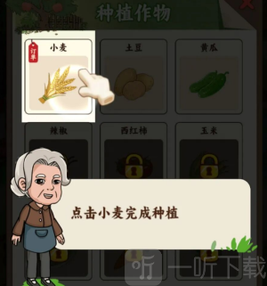 菜园小当家