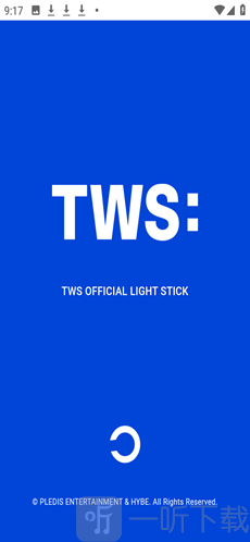 tws official light stick