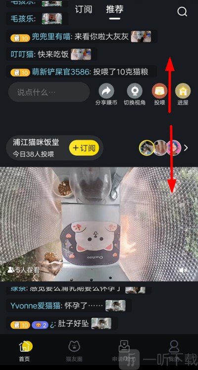 猫咪社区