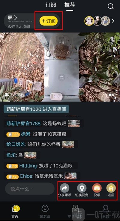 猫咪社区