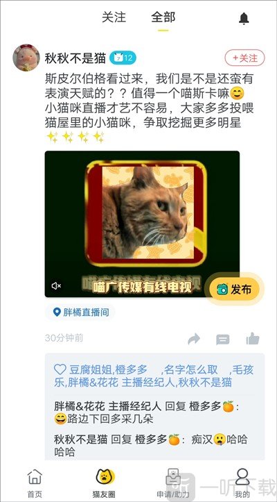 猫咪社区