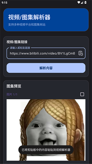视频解析器截图