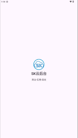 SK云后台截图