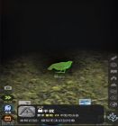 鸟类分支解锁
