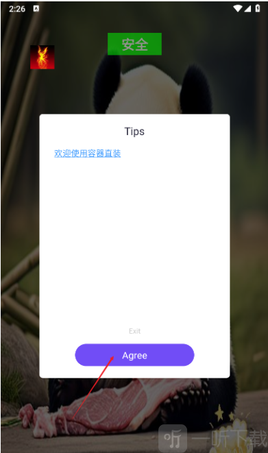 幽灵容器直装