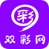 排五南方双彩