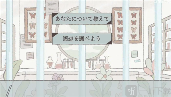 在标本箱中等待羽化