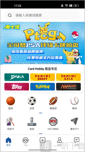卡淘