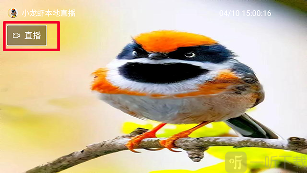 小龙虾直播