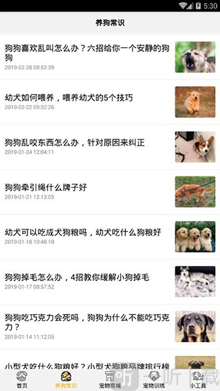 养狗常识