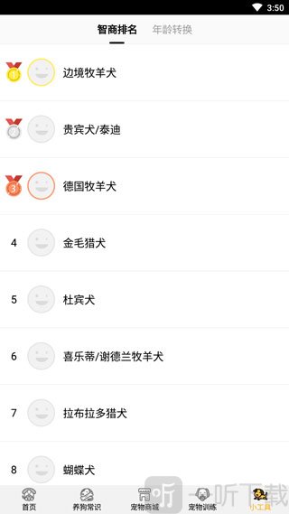 犬类智商排名和年龄转换