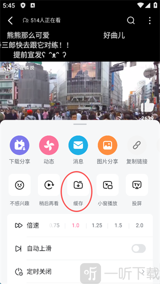 哔哩哔哩最新版