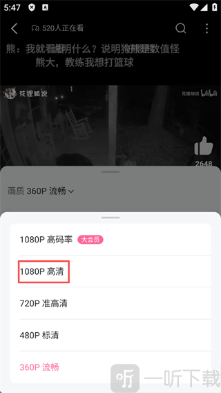 哔哩哔哩最新版