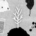 hertrees