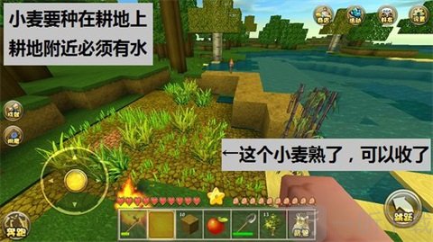 迷你世界种植小麦与农田操作