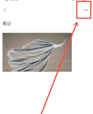 随心云笔记