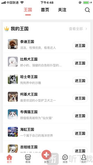 宠物王国消息与聊天界面