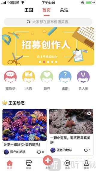 宠物王国首页动态展示界面