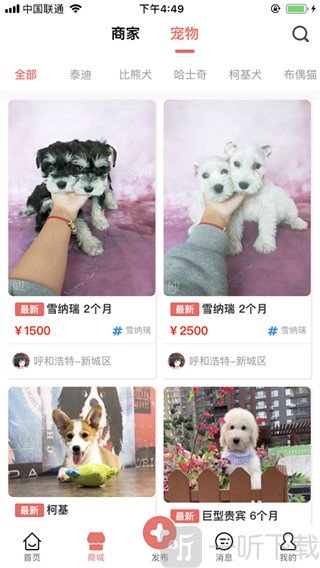 宠物王国发布动态功能入口