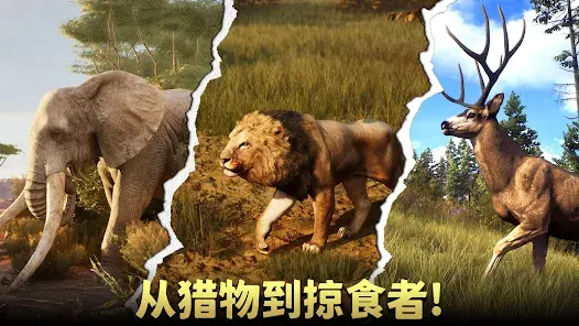 动物猎人荒野狙击手