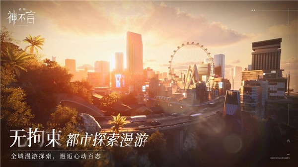 代号神不言