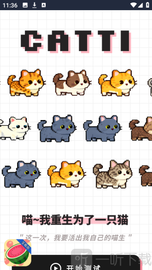 catti人格测试