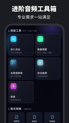 伴奏提取Audio音乐制作