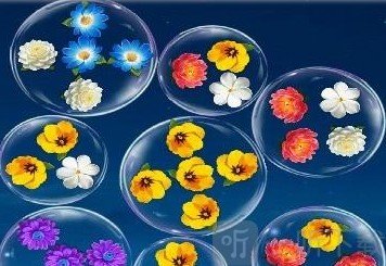 花开漫天红包版