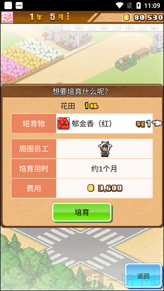 像素牧场物语确认种植花簇