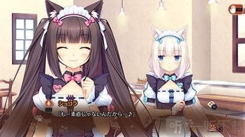 猫娘乐园
