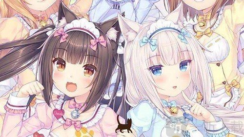 猫娘乐园