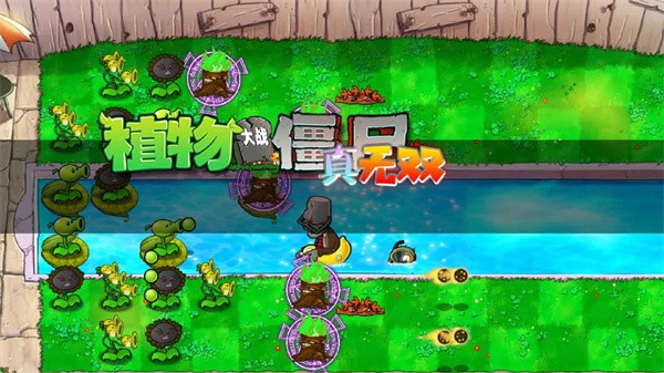植物大战僵尸真无双战斗场景界面展示