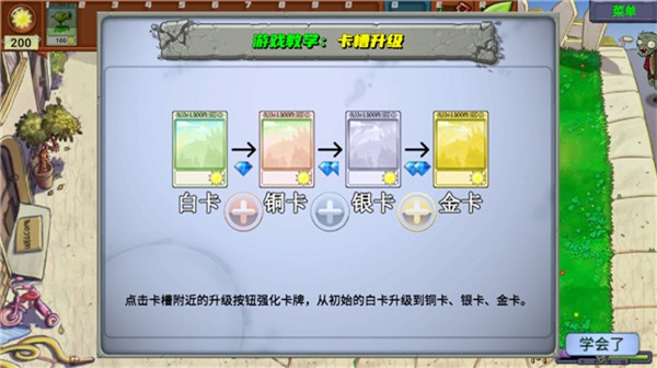 PvZ牛头版植物防守阵容