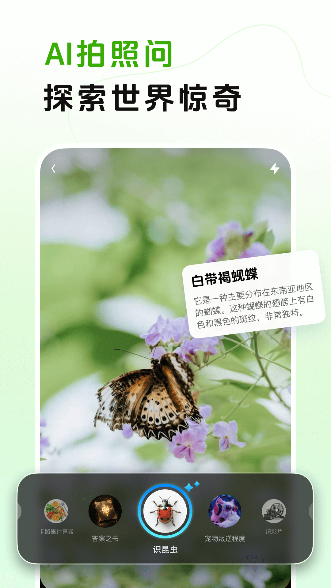 阶跃AI拍照识别与数据分析展示