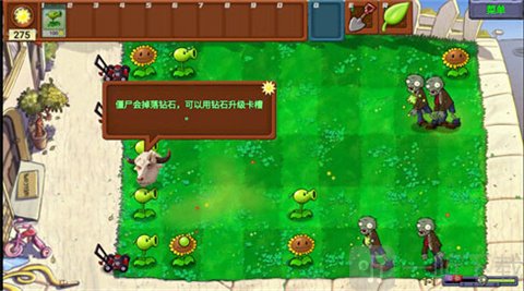 PvZ牛头版提示系统展示