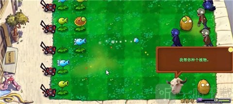 PvZ牛头版自动种植植物展示