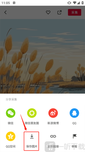 花瓣网