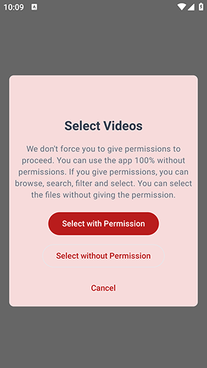 Video Reverser视频处理界面展示