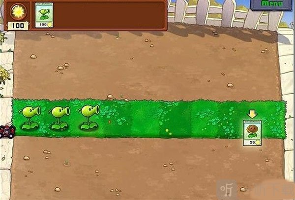 植物大战僵尸e版1-1关卡向日葵布置