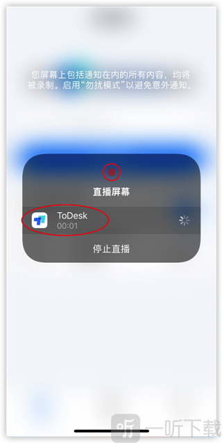 iPhone ToDesk直播中状态显示
