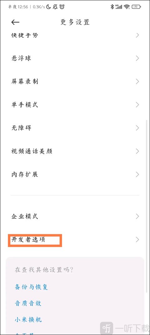 开发者选项界面