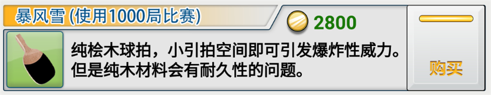 暴风雪球拍