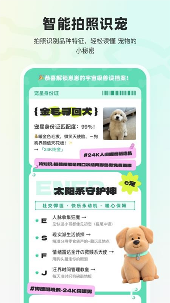 宠拍档