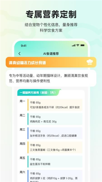 宠拍档