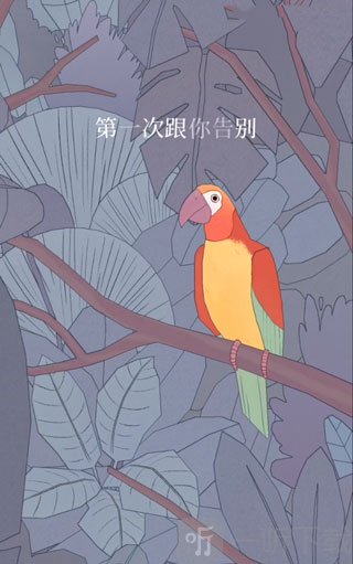 孤独的鸟儿最新版本