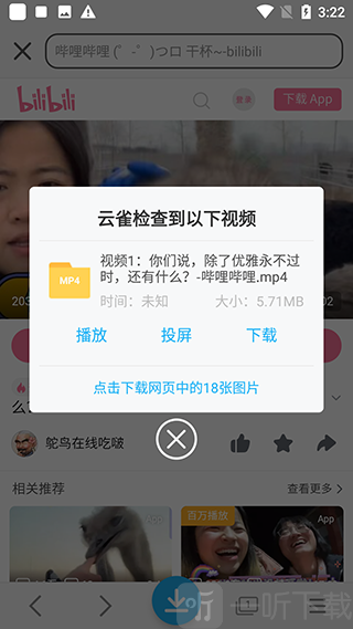 云雀视频助手