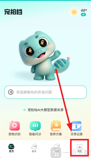 宠拍档APP个人中心界面