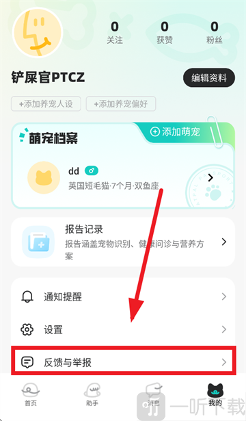 宠拍档APP反馈与举报入口界面