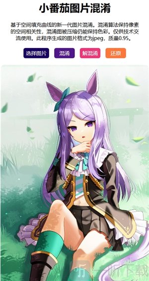 小番茄图片混淆netlify